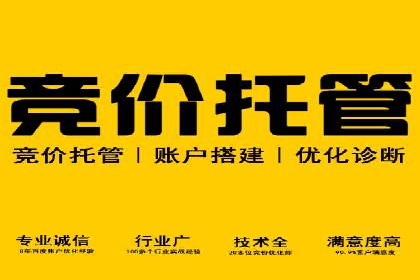SEM托管服务成功案例：助力企业转型升级